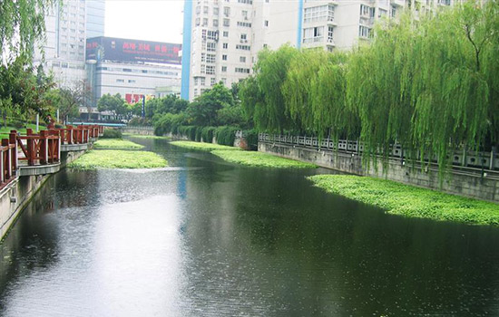 自然水體修復