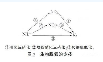 生物脫氮